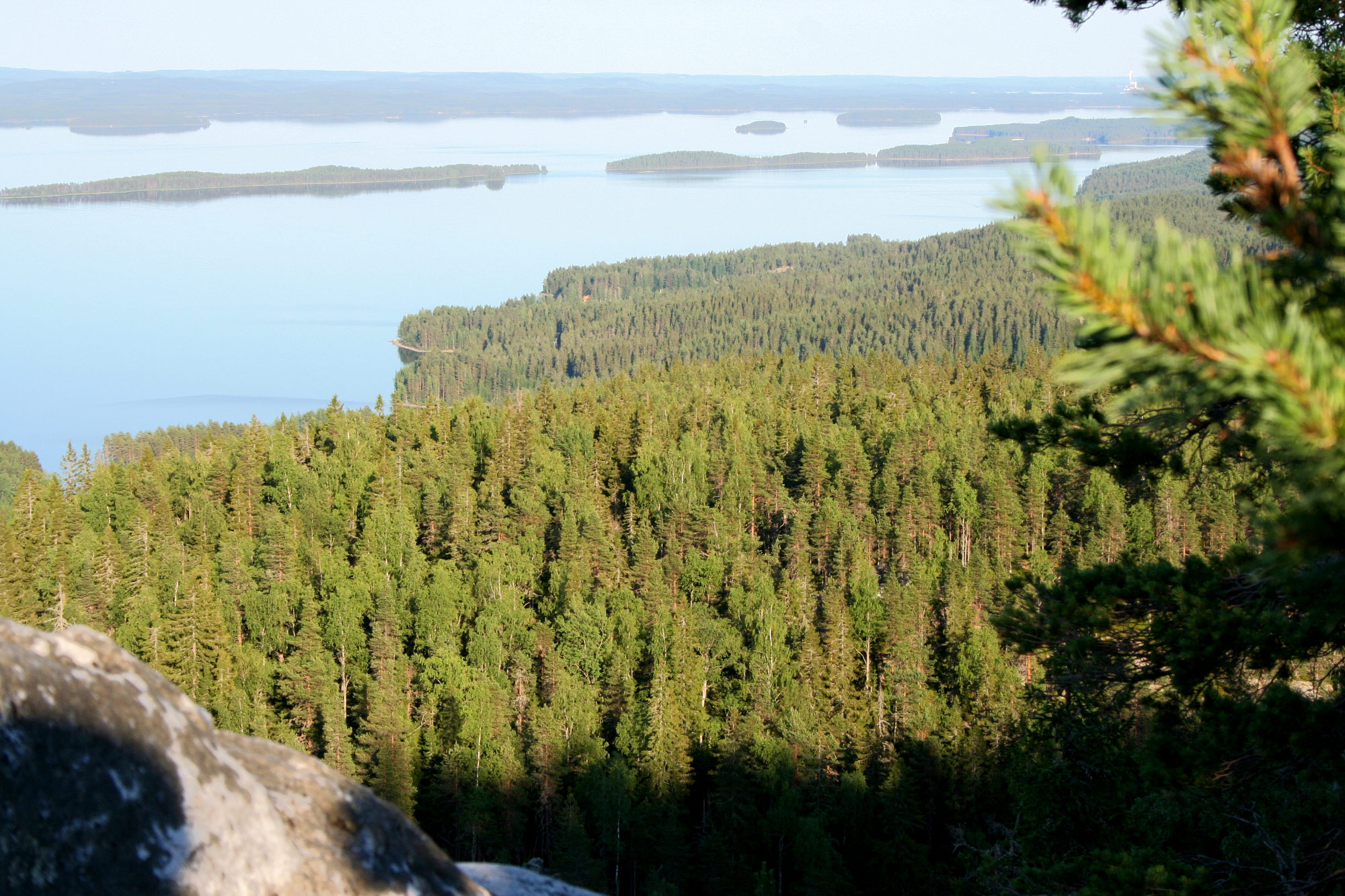 Koli National Park